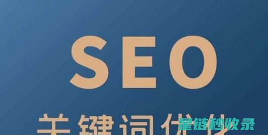 揭秘百度收录提交入口对SEO的影响及应对策略 (揭秘百度收录的内容)