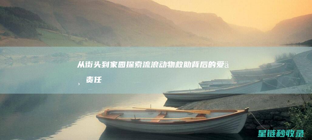 从街头到家园：探索流浪动物救助背后的爱与责任 (从街头到家园坐几路车)