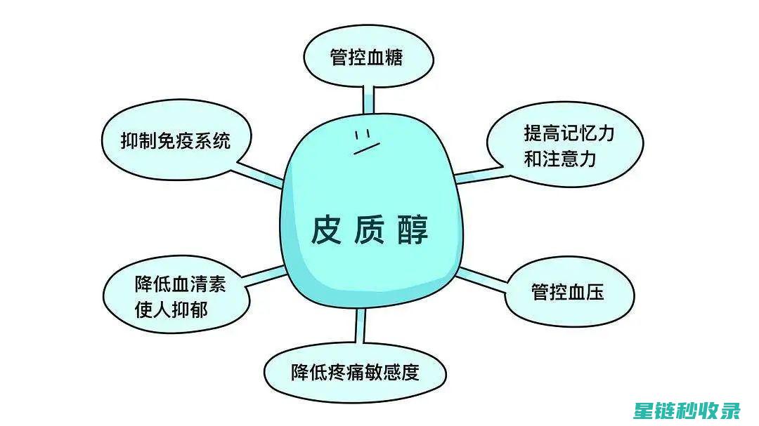 《应对压力的全方位攻略：探索减压放松的有效途径与技巧》 (应对压力的方法有哪些)