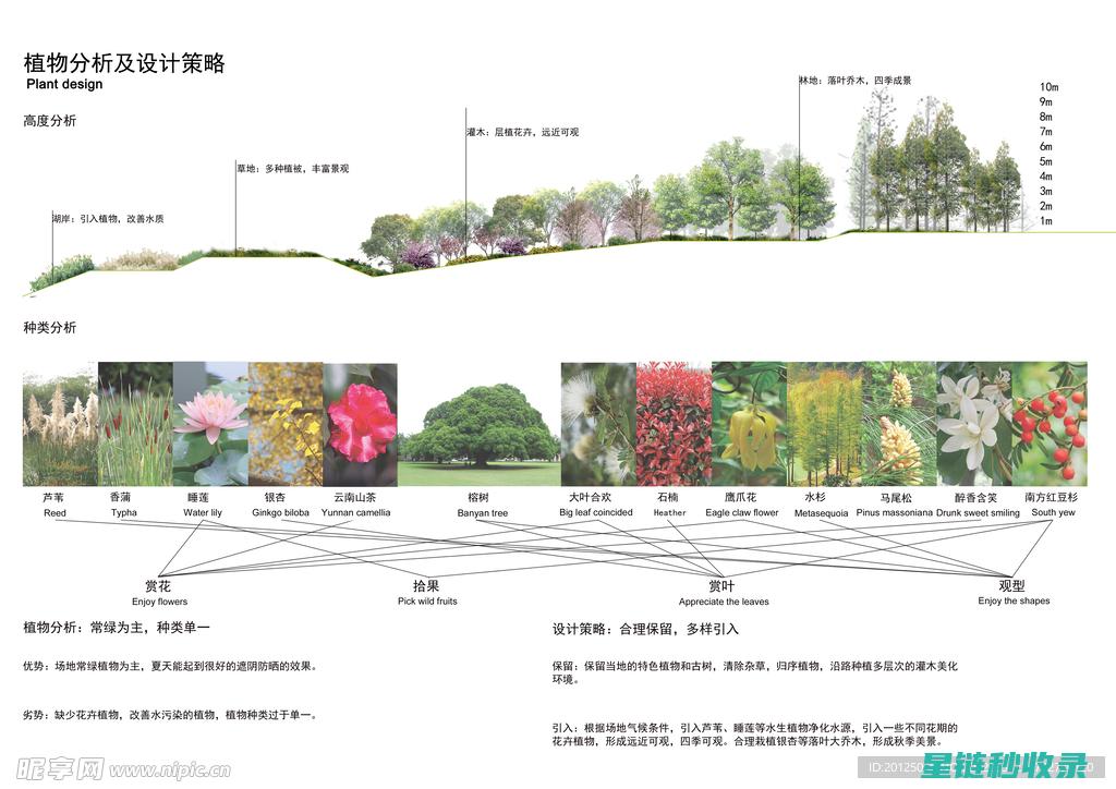 解析当前植物病害问题，揭示潜在威胁与应对之道 (解析当前植物的特点)