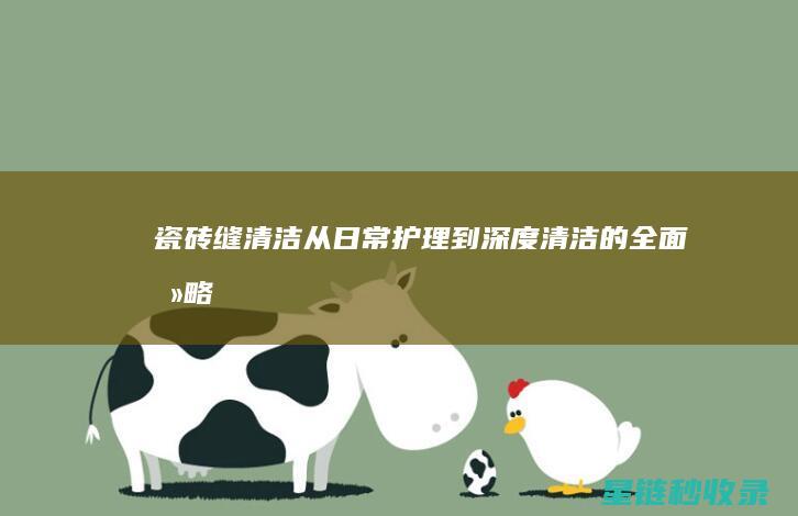 瓷砖缝清洁：从日常护理到深度清洁的全面攻略 (瓷砖缝清洁妙招)