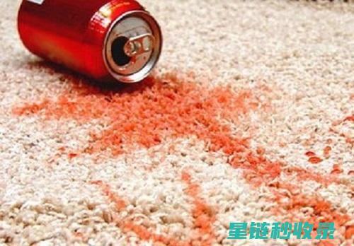 地毯污渍去除大揭秘：专业清洁师的秘密武器 (地毯污渍去除办法)