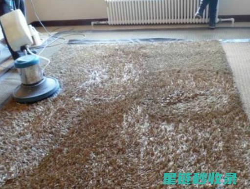 地毯污渍去除的那些事：你不知道的小秘密 (地毯污渍去除办法)