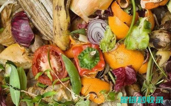厨房垃圾除臭：厨余垃圾除味秘诀 (厨房垃圾除臭方法)