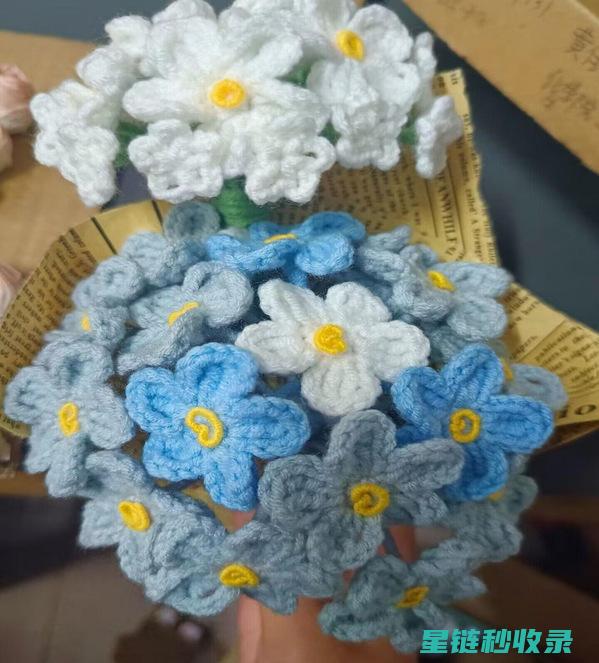 旧物改造：废旧塑料瓶变身环保花盆的妙招 (旧物改造废纸箱)