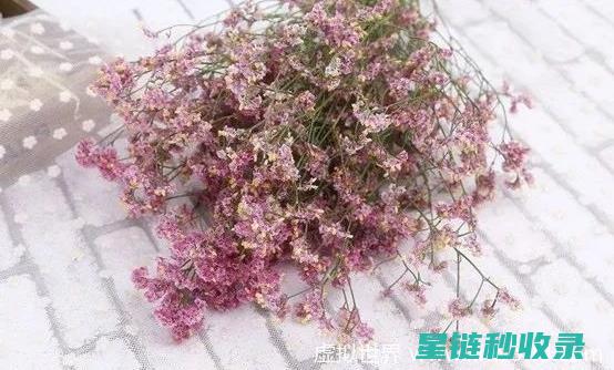 延长鲜花花期：花卉保鲜的环保之道 (延长鲜花花期的小妙招)