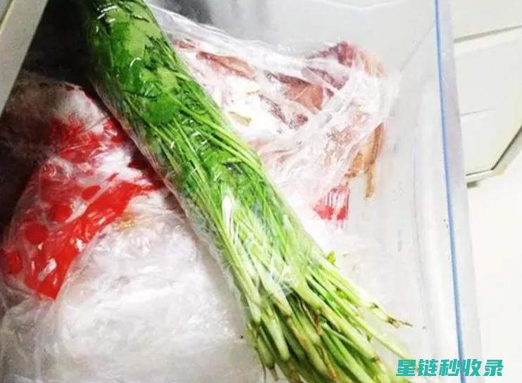 香菜保存秘诀，这个方法真的绝了！ (香菜保存秘诀图片)