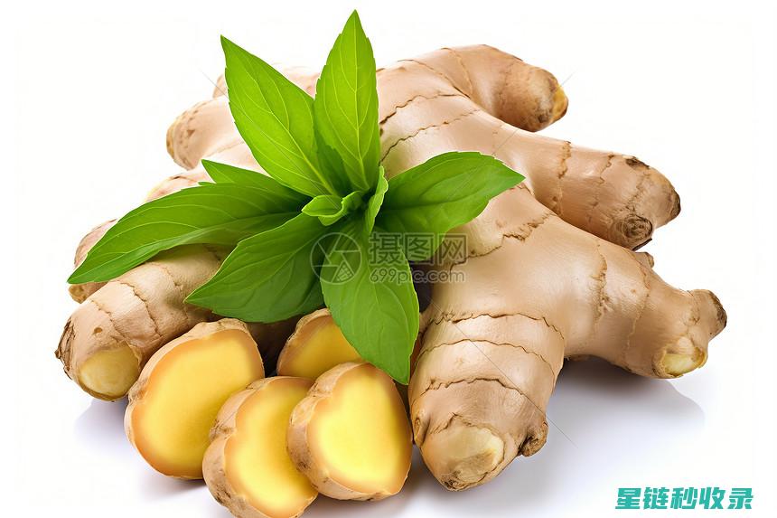 生姜保存小技巧：让你的生姜保持最佳状态 (生姜保存小技巧)