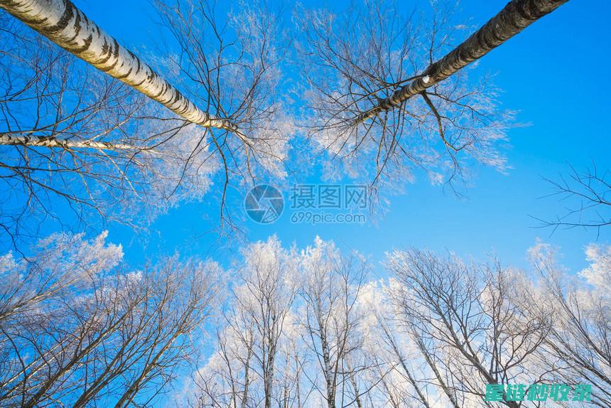 冬季干燥，薯片该如何保存才能保持口感？ (晒薯干入冬)