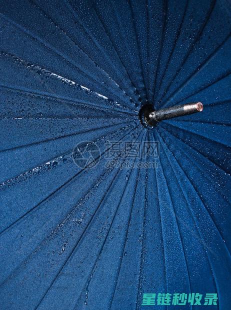 雨伞防水：从选购到保养的全攻略 (雨伞的防水材料)
