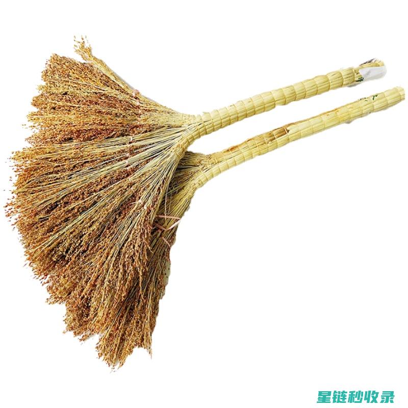 扫帚清洁：不只是清洁，更是艺术 (扫帚脏了怎么清洗)