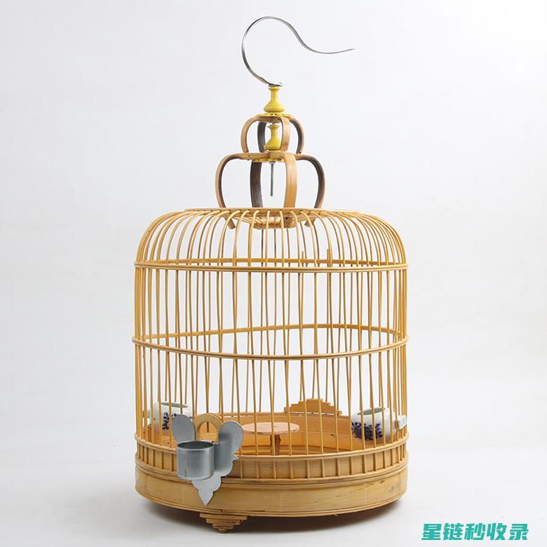 鸟笼清洁：清洁过程中需要注意的事项 (鸟笼子清洁好方法)