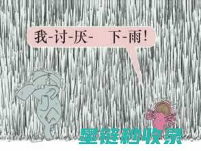 如何修复被黑帽SEO损害的网站？从惩罚中恢复的完整方案 (如何修复被黑的衣服)